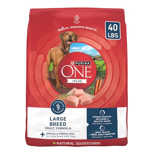 Best Dog Food for Mastiffs