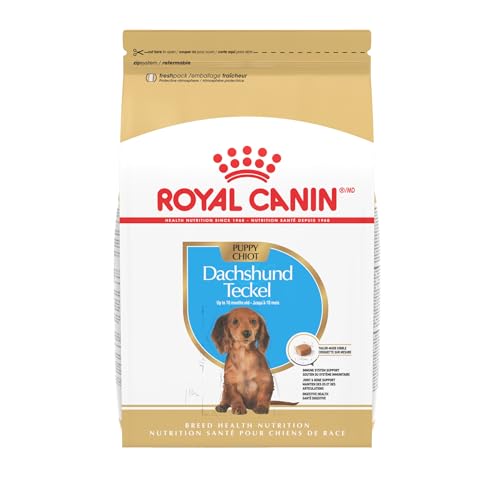 Best Dog Food for Mini Dachshunds