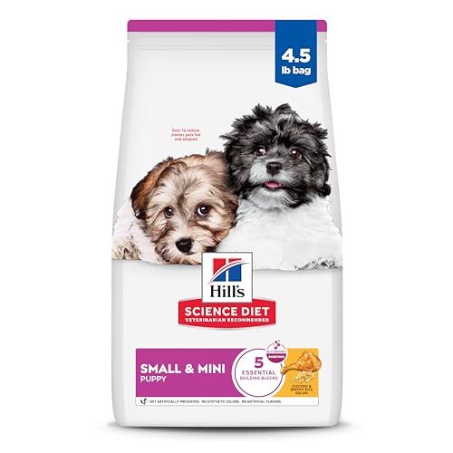 Best Dog Food for Mini Poodles