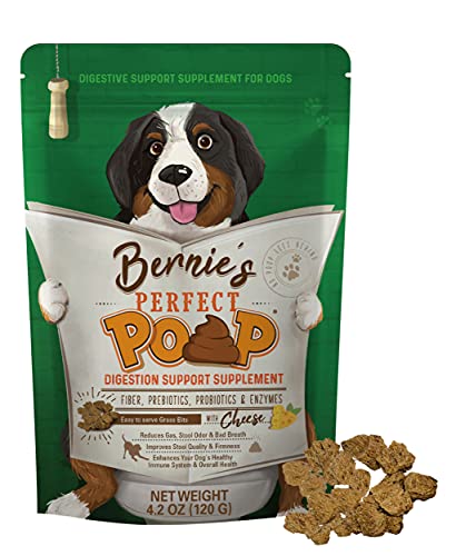 Best Dog Food for Mushy Poop