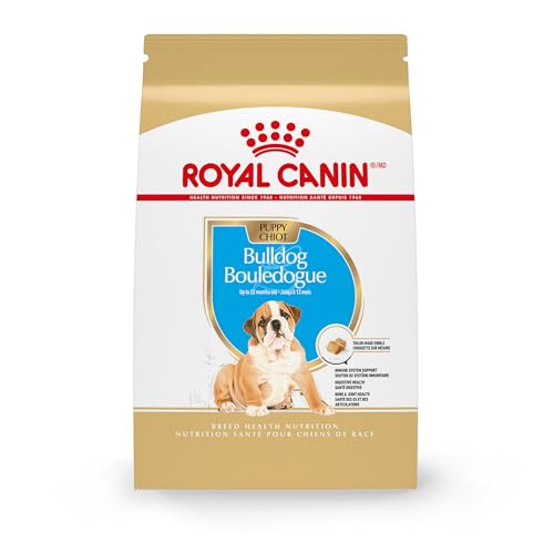 Best Dog Food for Old English Bulldogs
