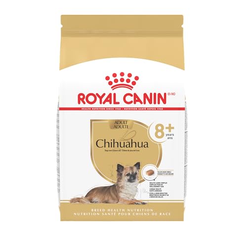 Best Dog Food for Older Chihuahua