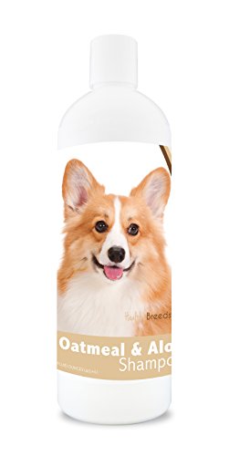 Best Dog Food for Pembroke Welsh Corgi