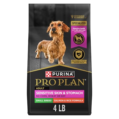 Best Dog Food for Poodles With Sensitive Stomach