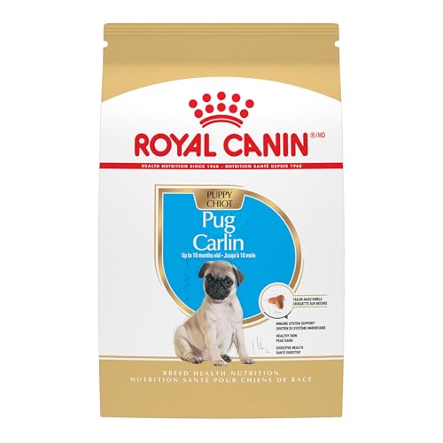 Best Dog Food for Pug Puppies