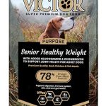 Best Dog Food for Senior Overweight Dogs