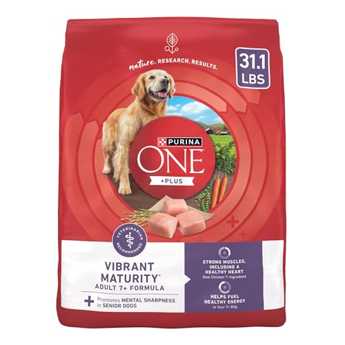 Best Dog Food for Senior Pitbulls