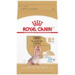 Best Dog Food for Senior Yorkies