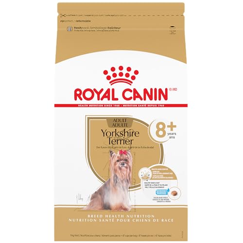 Best Dog Food for Senior Yorkies