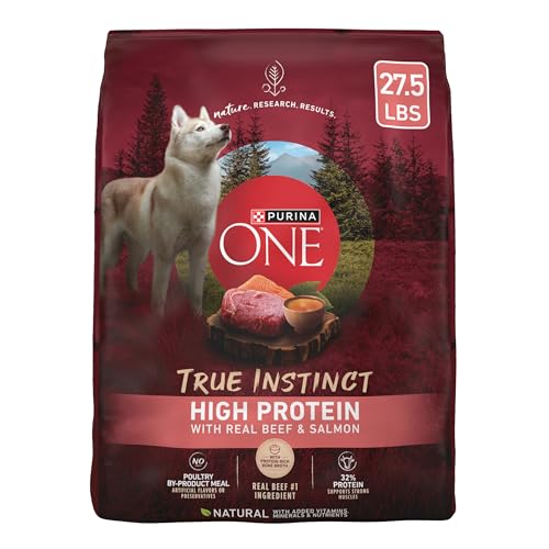 Best Dog Food for Siberian Huskies
