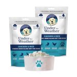 Best Dog Food for Sick Dog