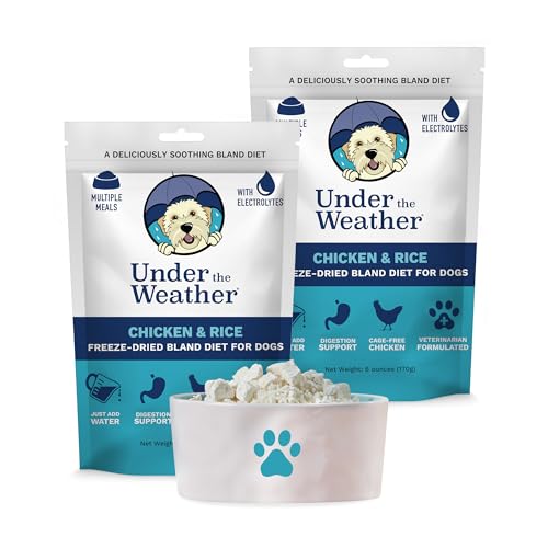 Best Dog Food for Sick Dog