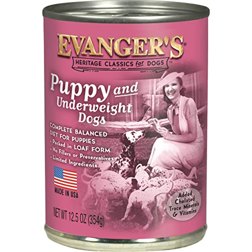 Best Dog Food for Underweight Dogs