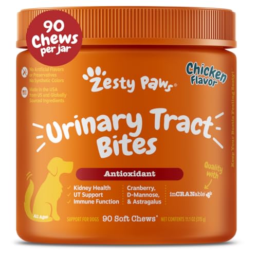 Best Dog Food for Urinary Incontinence