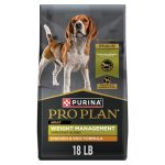 Best Dog Food for Weight Management