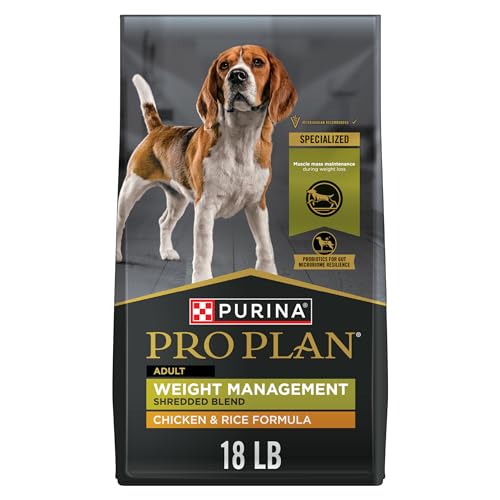 Best Dog Food for Weight Management