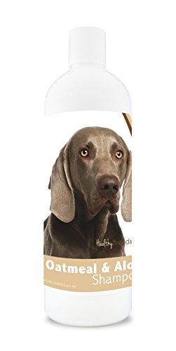 Best Dog Food for Weimaraners