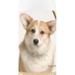 Best Dog Food for Welsh Corgi