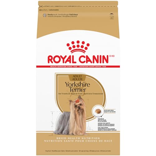 Best Dog Food for Yorkies
