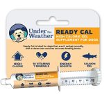 Best Dog Food to Make Dog Gain Weight