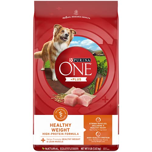 Best Dog Food to Put Weight on Boxer