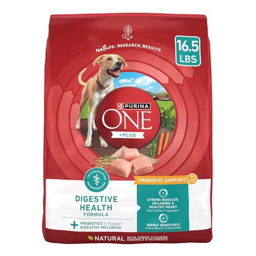 Best Dog Food With Probiotics