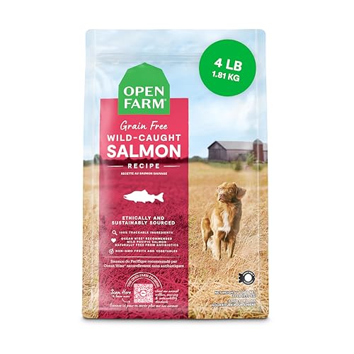 Best Dog Food Without Grain