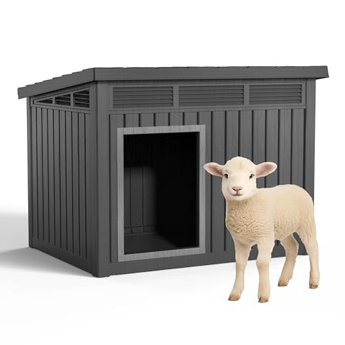 Best Dog for Farm House