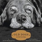 Best Dog for Older Adults