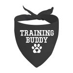 Best Dog for Running Partner