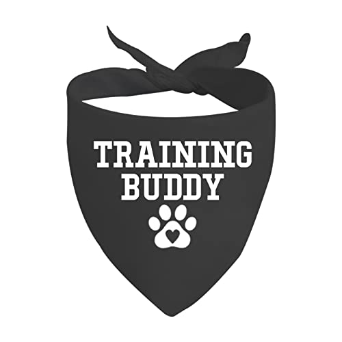Best Dog for Running Partner