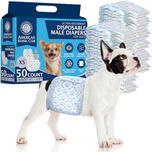 Best Dog for Single Male