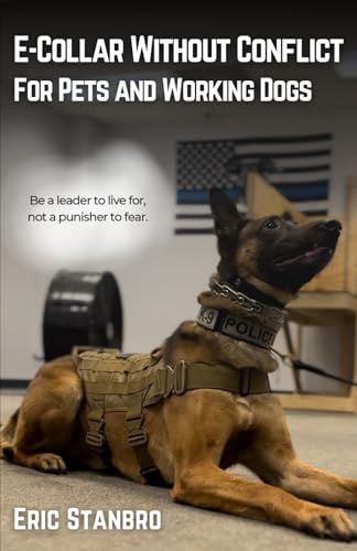 Best Dog for Working Person
