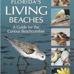 Best Dog Friendly Beaches in Florida