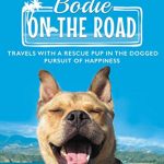 Best Dog Friendly Hotels Carmel by the Sea