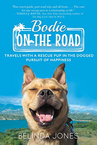 Best Dog Friendly Hotels Carmel by the Sea