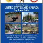 Best Dog Friendly Hotels Chicago