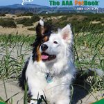 Best Dog Friendly Hotels in Las Vegas