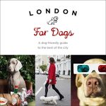 Best Dog Friendly Hotels in London