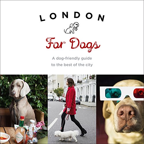 Best Dog Friendly Hotels in London