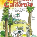 Best Dog Friendly Hotels in Southern California
