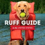 Best Dog Friendly Vacation Spots