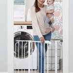 Best Dog Gate for Stairs