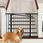 Best Dog Gates for Stairs