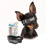 Best Dog Goggles for Small Dogs