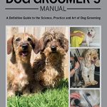Best Dog Groomers in Austin