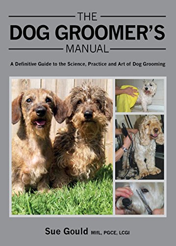 Best Dog Groomers in Austin