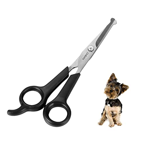 Best Dog Grooming Schools near Me