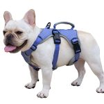 Best Dog Harness for Escape Artist