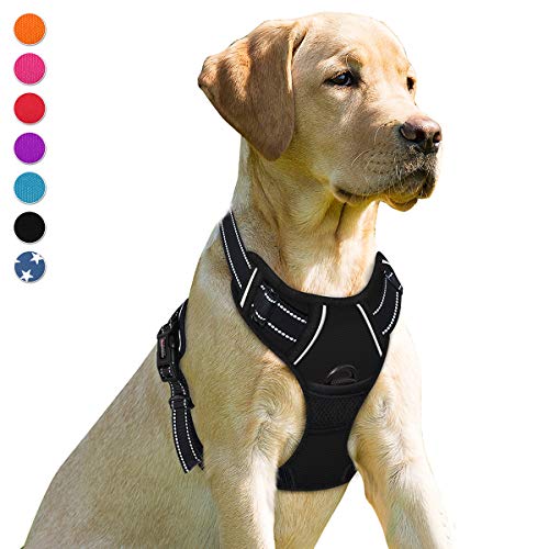 Best Dog Harness for Pitbulls
